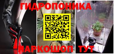 молекула духа Пугачёв