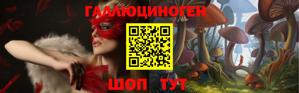 купить наркоту  Псилоцибиновые грибы Cubensis  Вход с VPN  Сегежа 